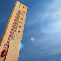 canicule